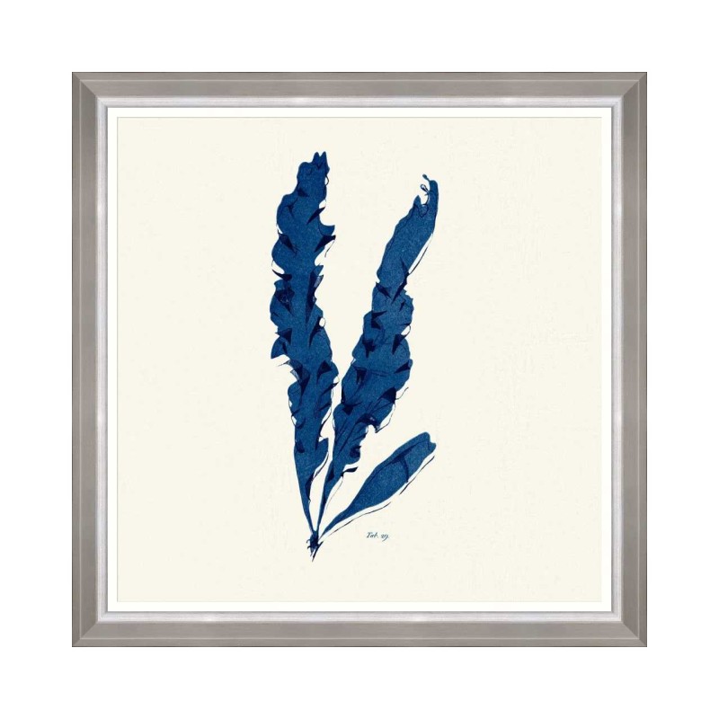 MINDTHEGAP | SEAWEED INDIGO Framed Art