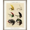 MINDTHEGAP | FISHING FLIES Framed Art by Mary Orvis Marbury