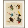 MINDTHEGAP | FISHING FLIES Framed Art by Mary Orvis Marbury