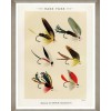 MINDTHEGAP | FISHING FLIES Framed Art by Mary Orvis Marbury