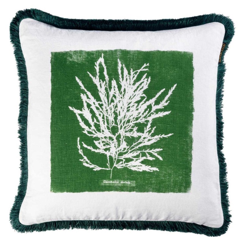 MINDTHEGAP | ALGAE Cushion