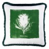 MINDTHEGAP | ALGAE Cushion