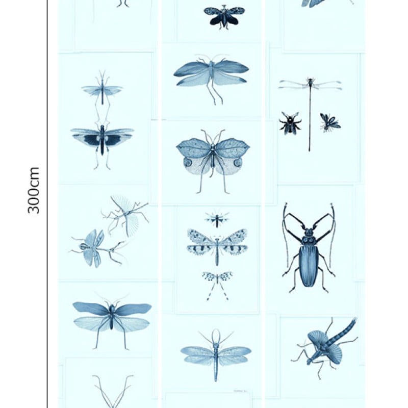 MINDTHEGAP | Entomology Blue | WP20235