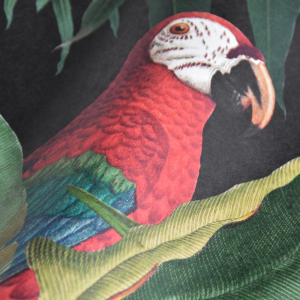 MINDTHEGAP |  The Wallpaper Compendium |  PARROTS OF BRASIL Antracite WP20522 Wallpaper