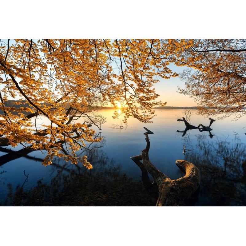 MARBURG | Autumn Morning Lake