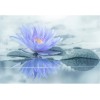 MARBURG | Blue Lotus Reflection