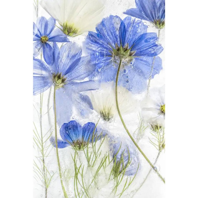 MARBURG | Cosmos Blue Art