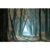 MARBURG | Dark Forest