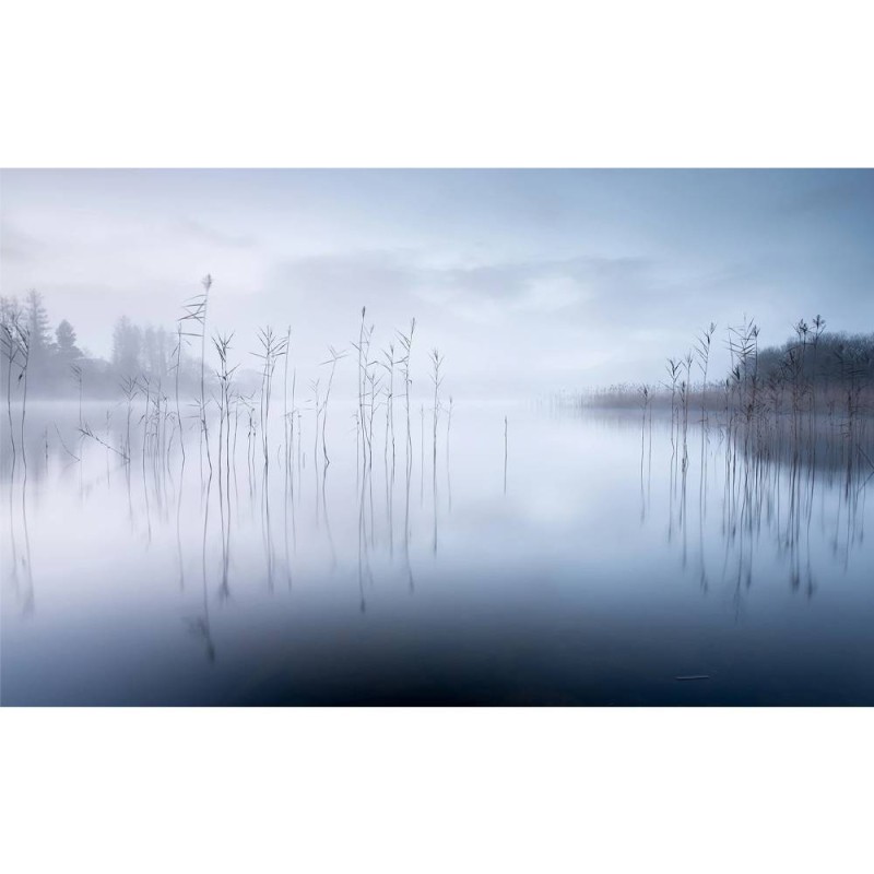 MARBURG | Foggy Morning Lake