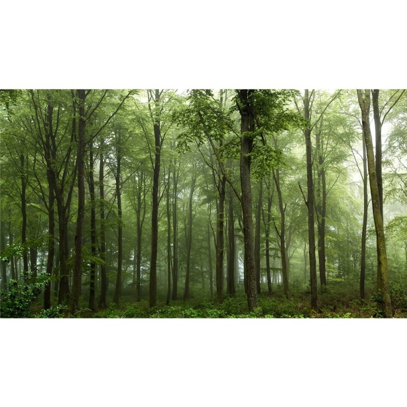 MARBURG | Forest Greens