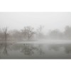 MARBURG | Mirror Lake Trees