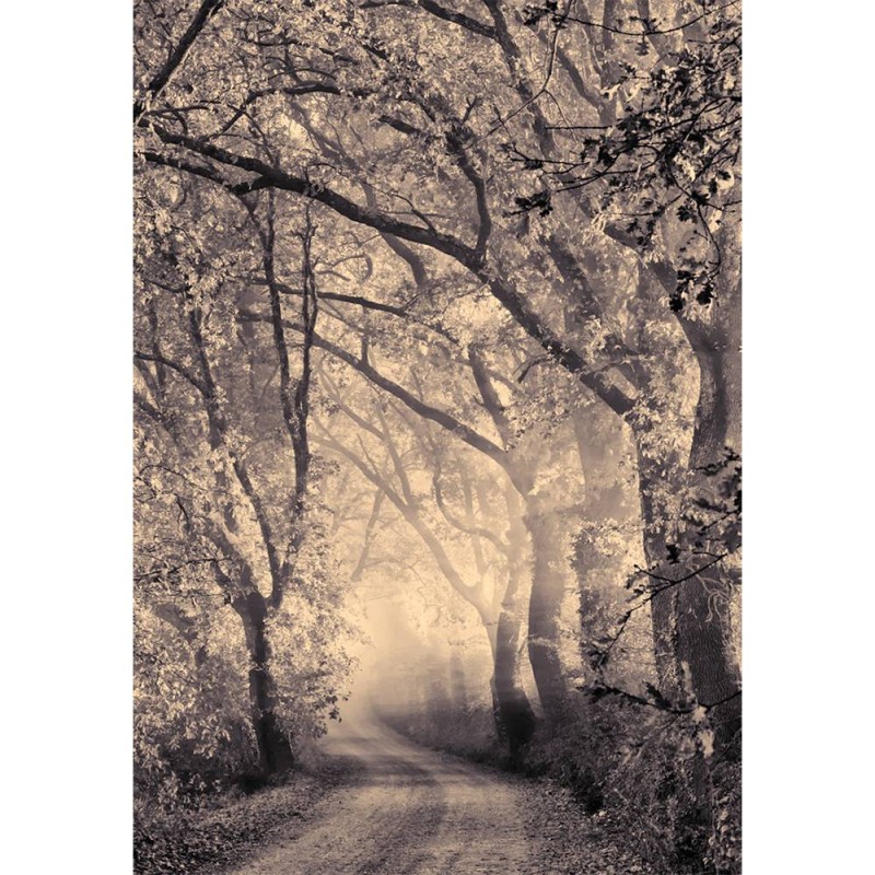 MARBURG | Misty Road