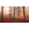 MARBURG | Red Foggy Autumn