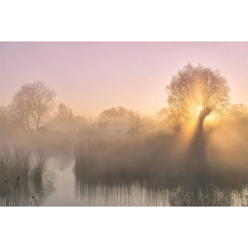 MARBURG | Silence Sunrise