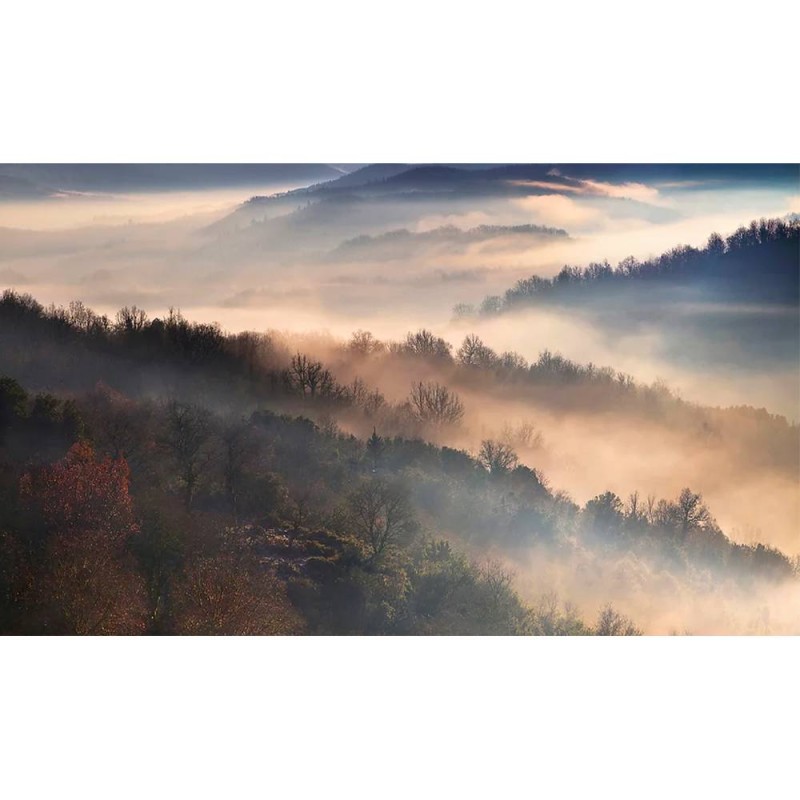 MARBURG | Trees Panorama Sunset