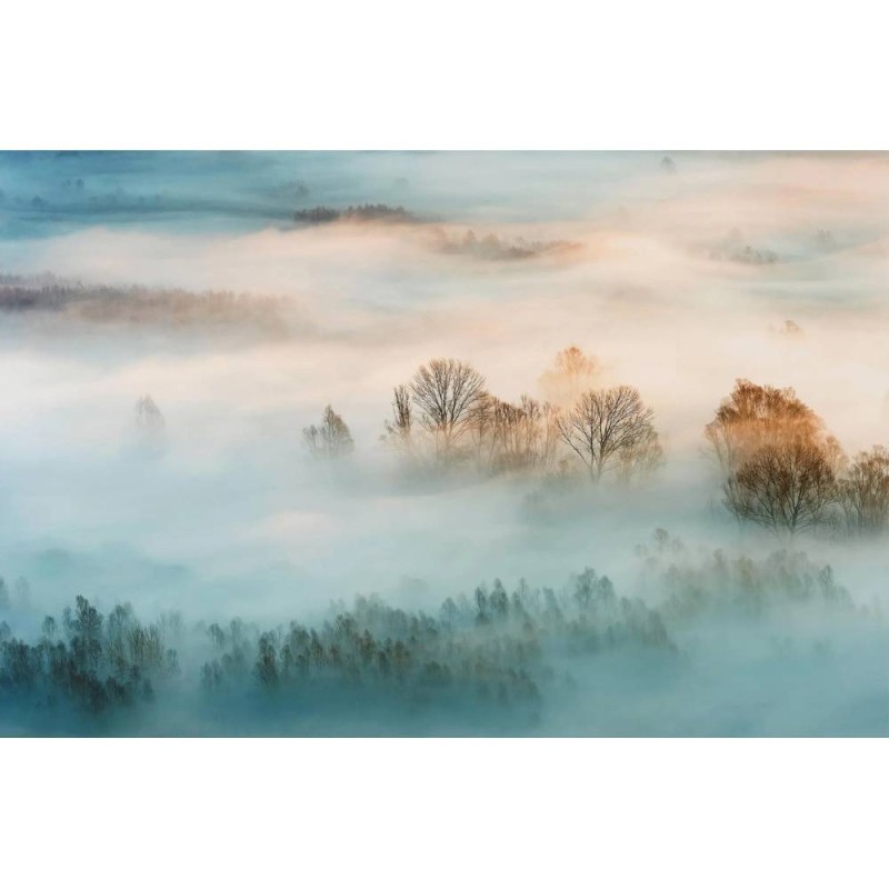 MARBURG | Winter Forest Fog