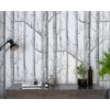 TM | Birch Tree | MUR8096