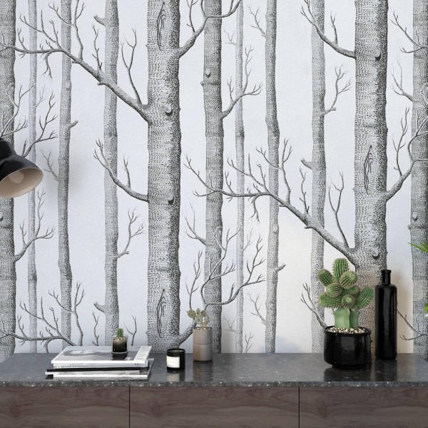 TM | Birch Tree | MUR8096