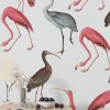 TM | Flamingo | MUR8097