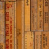 NLXL / MRV Printed Rulers / MRV-05