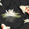 Shizukana, Japanese Koi Fish