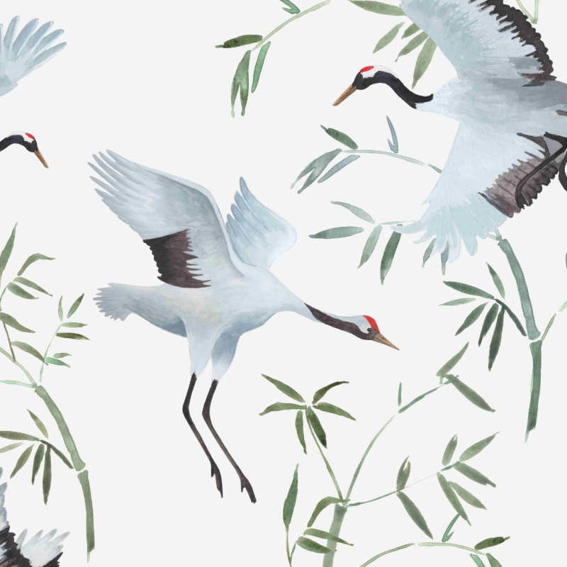 Jiyu, Japanese Crane