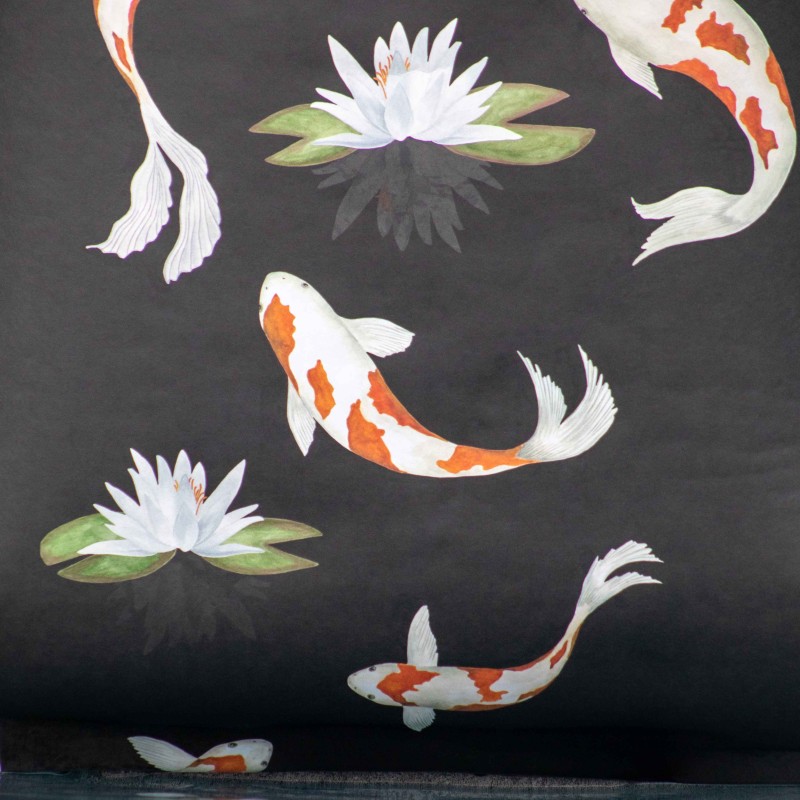 Shizukana, Japanese Koi Fish