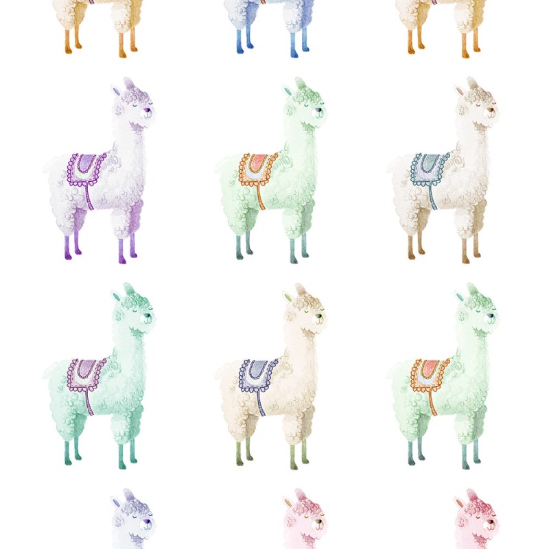 Alpaca Rebel, Rainbow