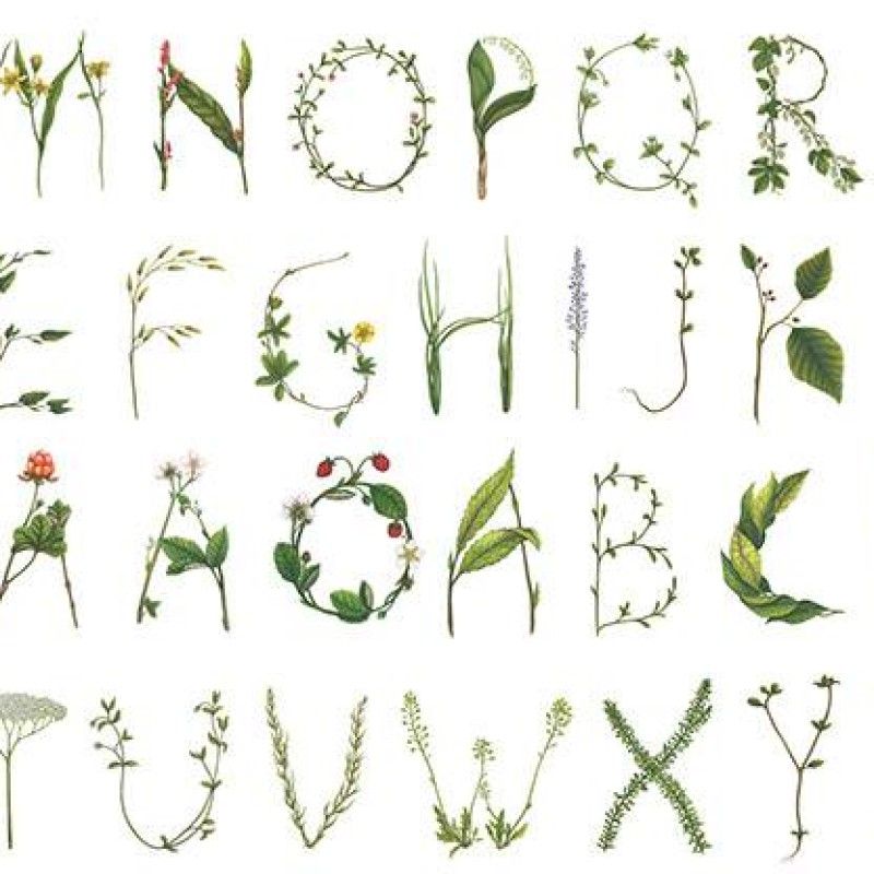 Floral Alphabet