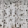 Metal Birch