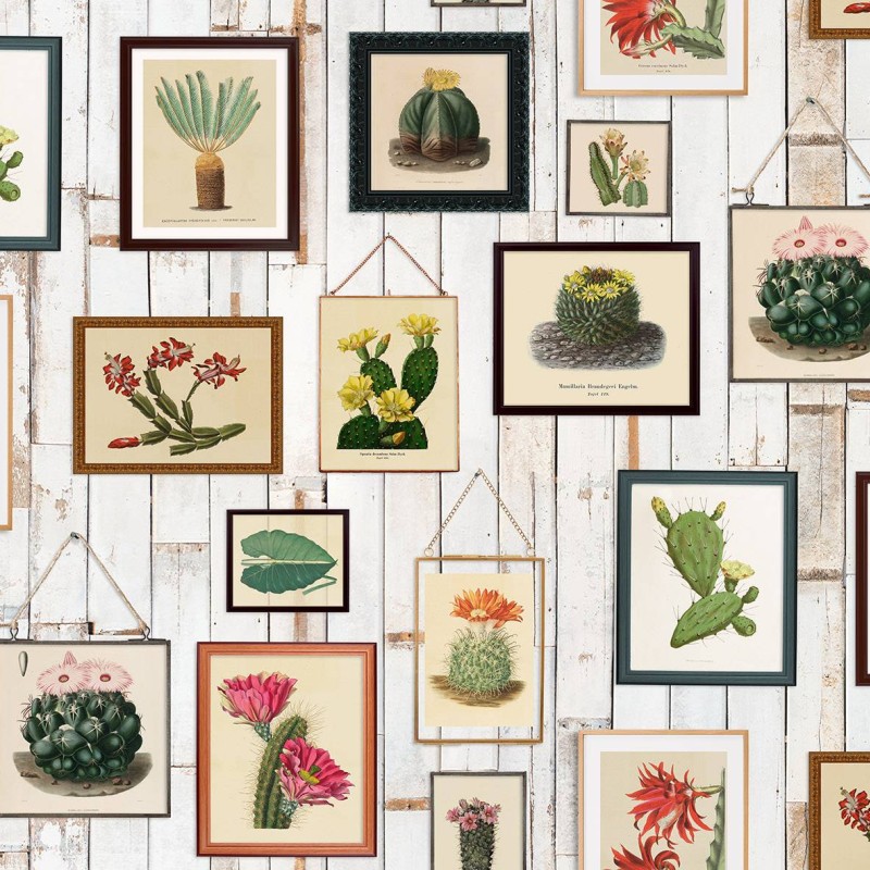 Cactus Wall Art