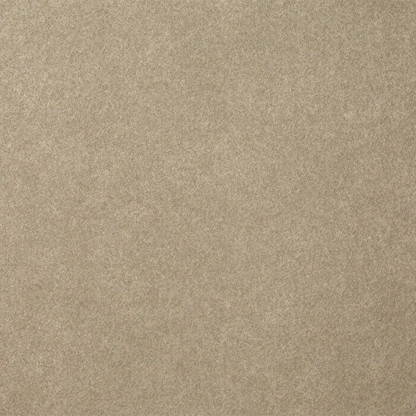 Sangetsu / Plain Beige FE6141 Sangetsu / Plain Beige FE6141