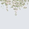 Classic Clematis Mural Wallpaper | Sian Zeng