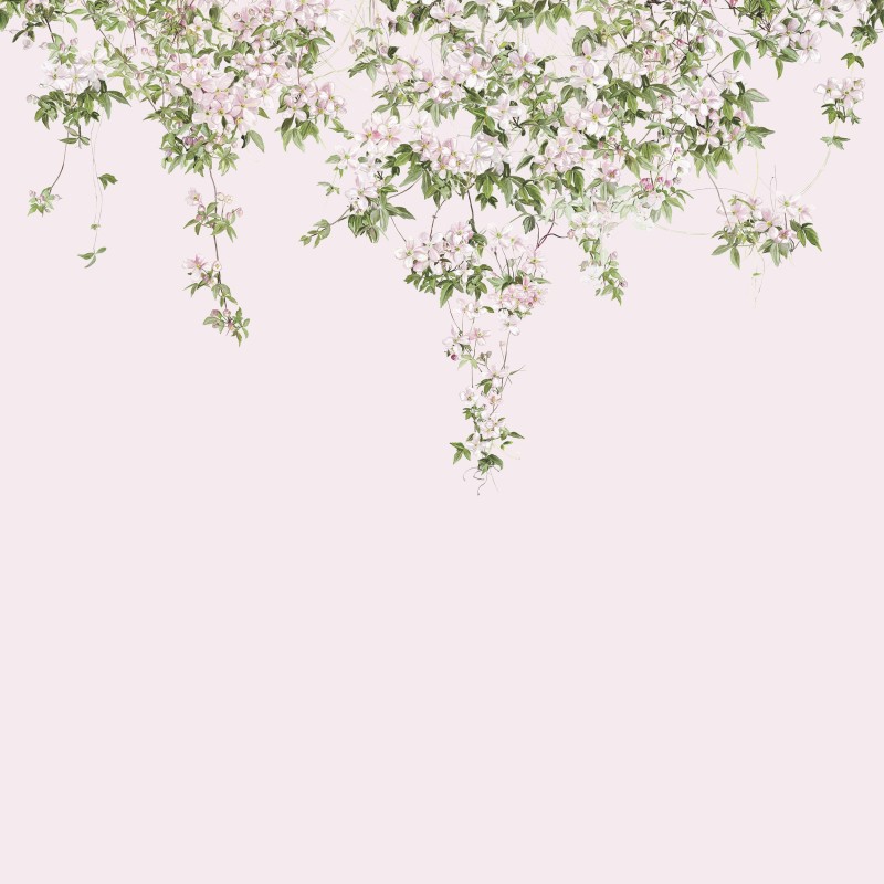 Classic Clematis Mural Wallpaper | Sian Zeng