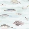  Fish Wallpaper | Sian Zeng