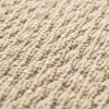 Toli / Pets Carpet / AK9502