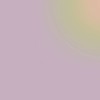 Honpo | Gradation | Sunny Gradient