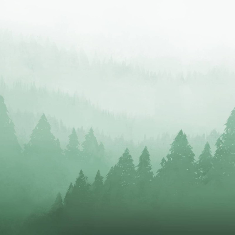 HONPO | GRADATION | FOREST MIST