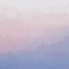 Honpo | Gradation | Gradient Plains