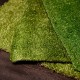 HONPO Artificial Grass Carpet / Home Decoration