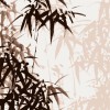 Honpo | Bamboo Forest | HO-0029