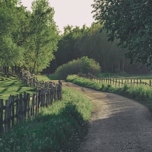 Wooden Fence