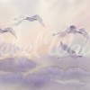 Flying Swans, Pastel